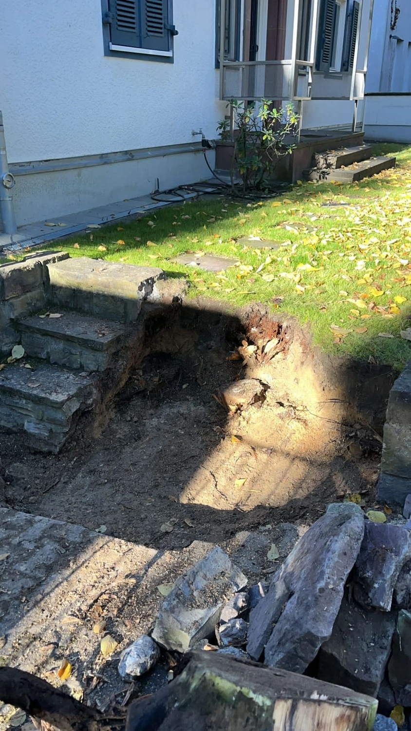 Gartenprojekt Berlin – Berlin Grün & Schnee