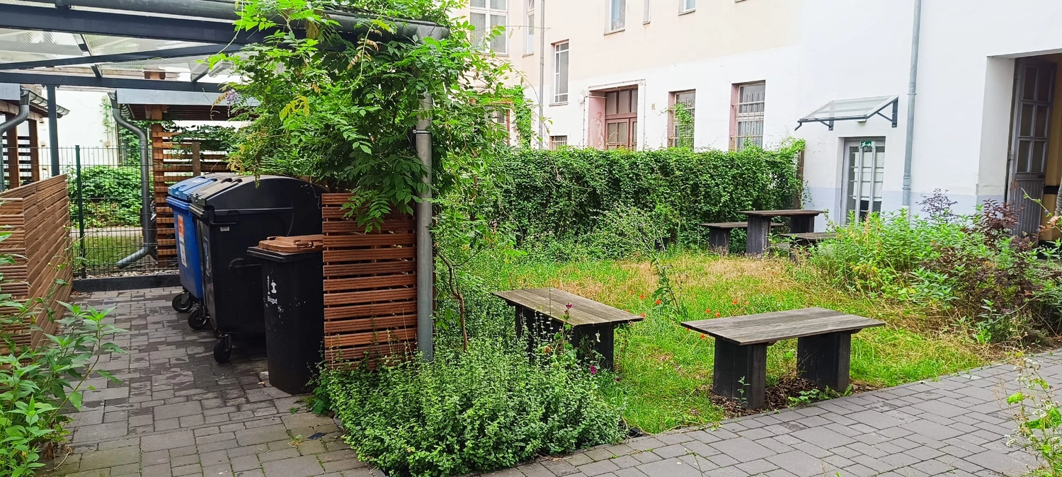 Gartenprojekt Berlin – Berlin Grün & Schnee