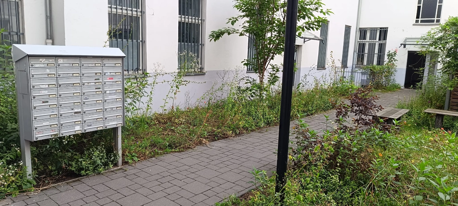 Gartenprojekt Berlin – Berlin Grün & Schnee